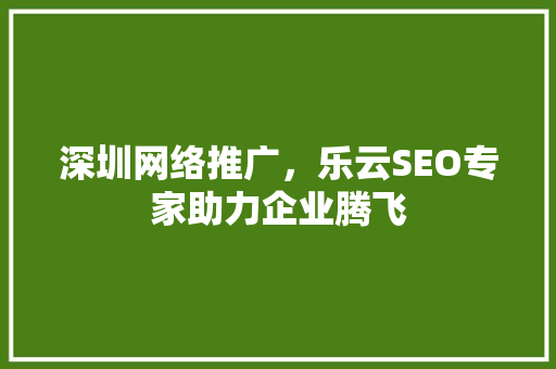 深圳网络推广，乐云SEO专家助力企业腾飞