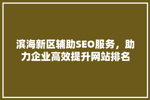 滨海新区辅助SEO服务，助力企业高效提升网站排名
