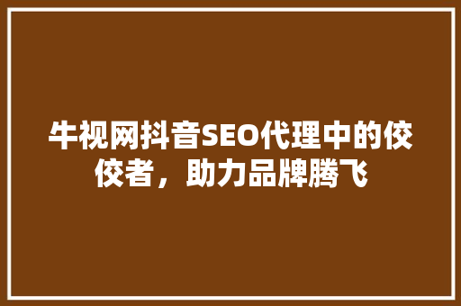 牛视网抖音SEO代理中的佼佼者，助力品牌腾飞