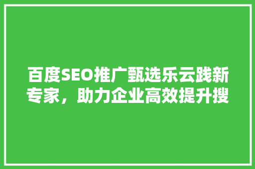 百度SEO推广甄选乐云践新专家，助力企业高效提升搜索引擎排名