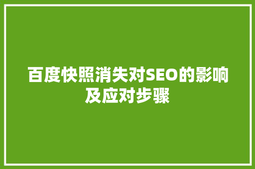 百度快照消失对SEO的影响及应对步骤