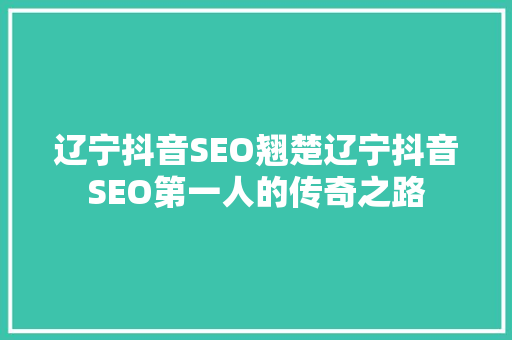 辽宁抖音SEO翘楚辽宁抖音SEO第一人的传奇之路