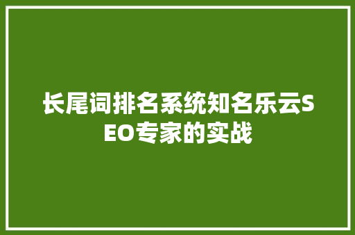 长尾词排名系统知名乐云SEO专家的实战