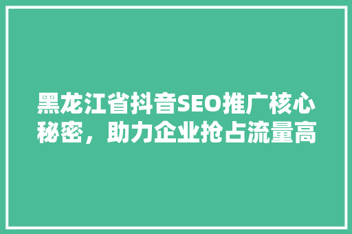 黑龙江省抖音SEO推广核心秘密，助力企业抢占流量高地
