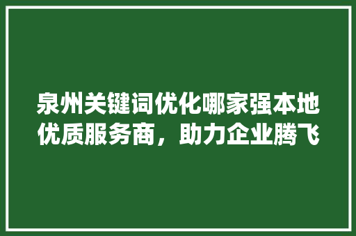 泉州关键词优化哪家强本地优质服务商，助力企业腾飞_泉州关键词优化哪家好