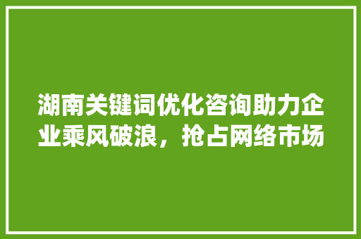 湖南关键词优化咨询助力企业乘风破浪，抢占网络市场制高点_湖南关键词优化咨询