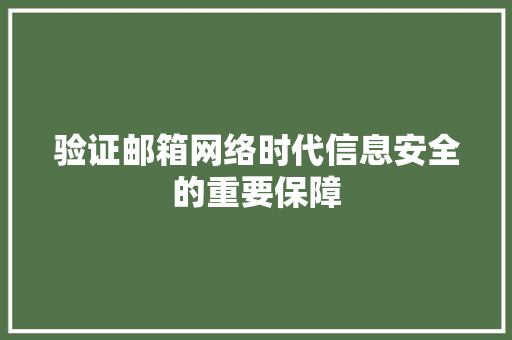 验证邮箱网络时代信息安全的重要保障