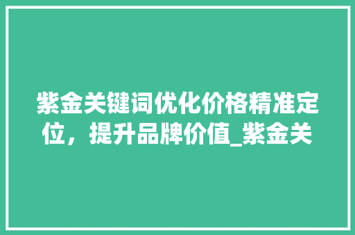紫金关键词优化价格精准定位，提升品牌价值_紫金关键词优化价格