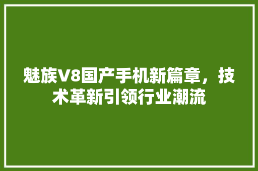 魅族V8国产手机新篇章，技术革新引领行业潮流
