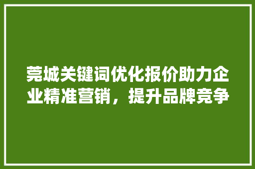 莞城关键词优化报价助力企业精准营销，提升品牌竞争力_莞城关键词优化报价