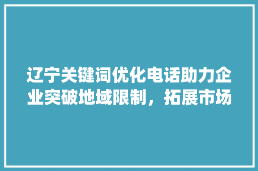 辽宁关键词优化电话助力企业突破地域限制，拓展市场新天地_辽宁关键词优化电话