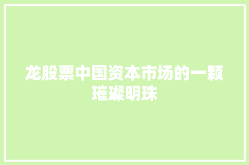 龙股票中国资本市场的一颗璀璨明珠