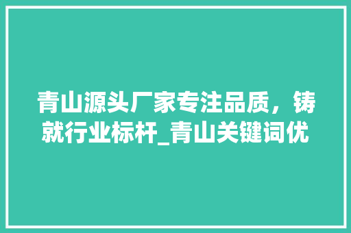 青山源头厂家专注品质，铸就行业标杆_青山关键词优化源头厂家