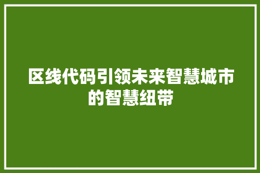 区线代码引领未来智慧城市的智慧纽带