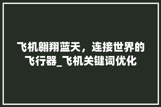 飞机翱翔蓝天，连接世界的飞行器_飞机关键词优化