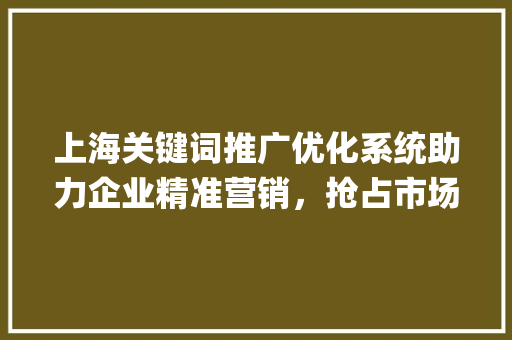 上海关键词推广优化系统助力企业精准营销，抢占市场先机_上海关键词推广优化系统