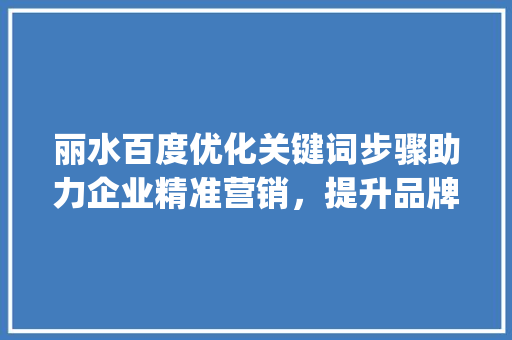 丽水百度优化关键词步骤助力企业精准营销，提升品牌影响力_丽水百度优化关键词