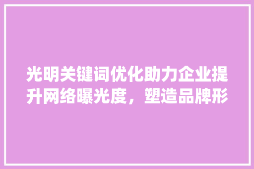 光明关键词优化助力企业提升网络曝光度，塑造品牌形象_光明关键词优化多少钱