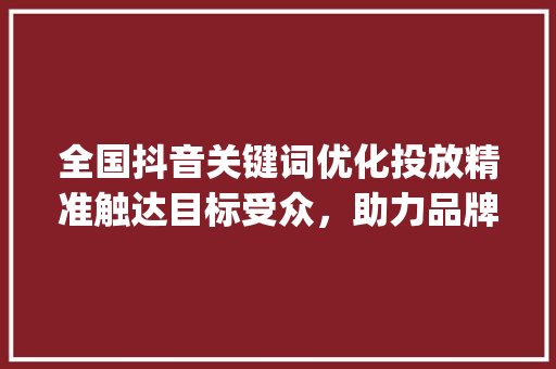 全国抖音关键词优化投放精准触达目标受众，助力品牌腾飞_全国抖音关键词优化投放