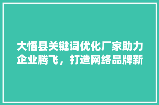 大悟县关键词优化厂家助力企业腾飞，打造网络品牌新高度_大悟县关键词优化厂家