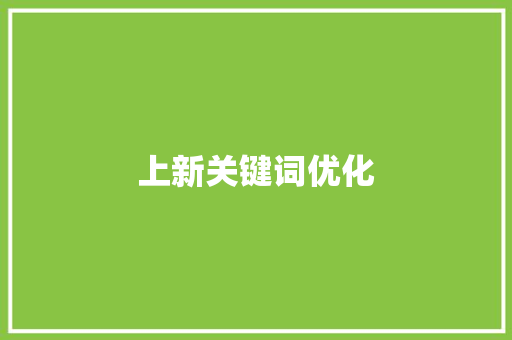 上新关键词优化