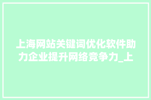 上海网站关键词优化软件助力企业提升网络竞争力_上海网站关键词优化软件