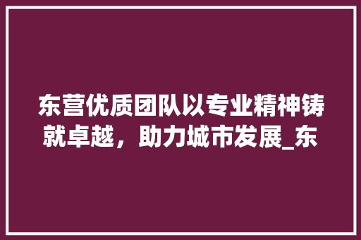 东营优质团队以专业精神铸就卓越，助力城市发展_东营关键词优化优质团队
