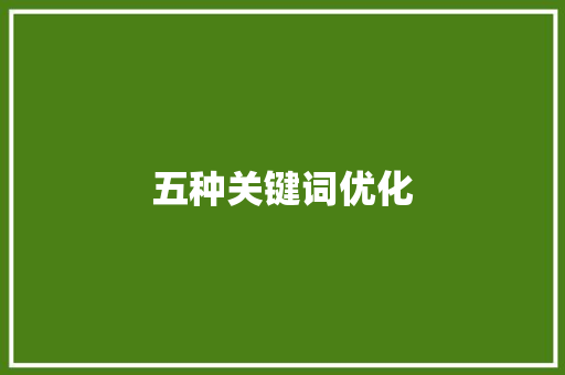 五种关键词优化