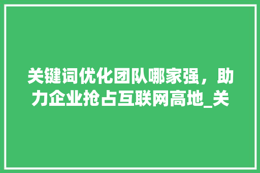 关键词优化团队哪家强，助力企业抢占互联网高地_关键词优化团队哪家好