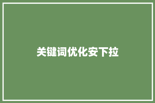 关键词优化安下拉