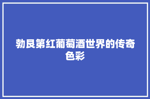 勃艮第红葡萄酒世界的传奇色彩