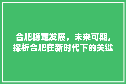 合肥稳定发展，未来可期,探析合肥在新时代下的关键词优化_合肥稳定关键词优化