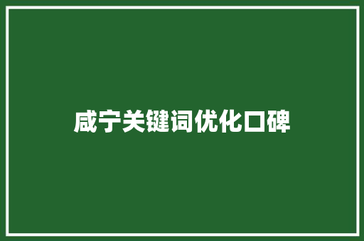 咸宁关键词优化口碑