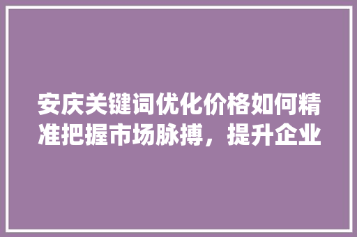 安庆关键词优化价格如何精准把握市场脉搏，提升企业竞争力_安庆关键词优化价格
