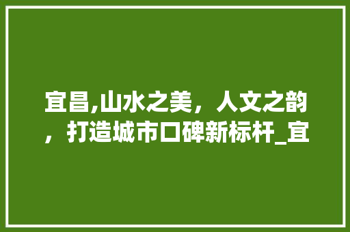 宜昌,山水之美，人文之韵，打造城市口碑新标杆_宜昌关键词优化口碑