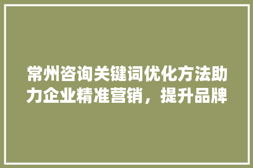 常州咨询关键词优化方法助力企业精准营销，提升品牌影响力_常州咨询关键词优化方法