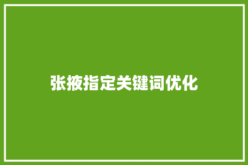 张掖指定关键词优化