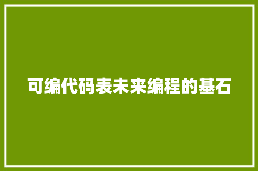 可编代码表未来编程的基石