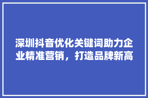 深圳抖音优化关键词助力企业精准营销，打造品牌新高度_深圳抖音优化关键词效果