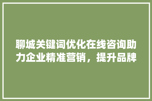 聊城关键词优化在线咨询助力企业精准营销，提升品牌影响力_聊城关键词优化在线咨询