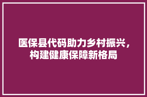 医保县代码助力乡村振兴，构建健康保障新格局