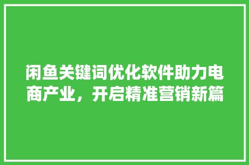 闲鱼关键词优化软件助力电商产业，开启精准营销新篇章_闲鱼关键词优化软件