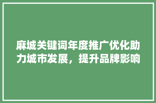 麻城关键词年度推广优化助力城市发展，提升品牌影响力_麻城关键词年度推广优化