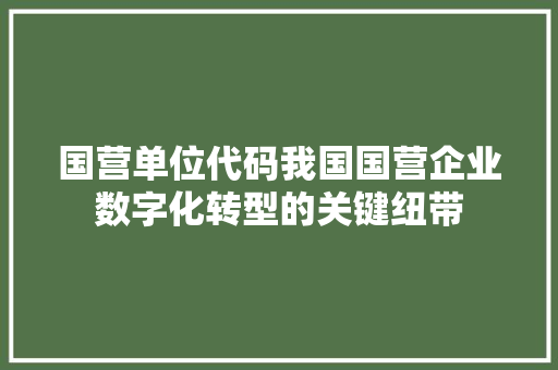 国营单位代码我国国营企业数字化转型的关键纽带