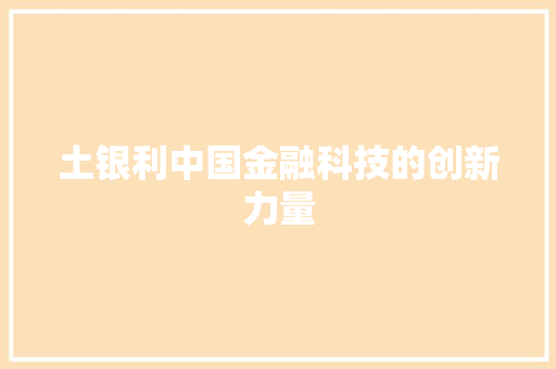 土银利中国金融科技的创新力量
