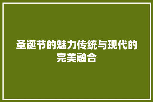 圣诞节的魅力传统与现代的完美融合