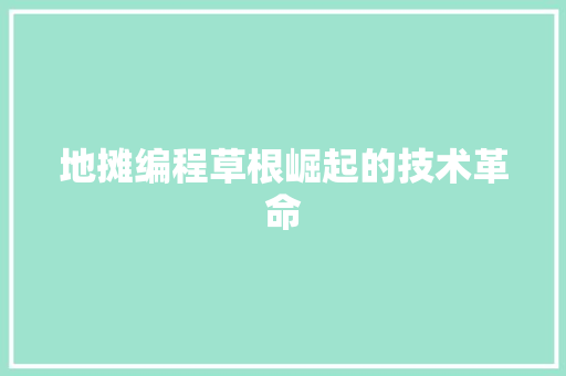 地摊编程草根崛起的技术革命