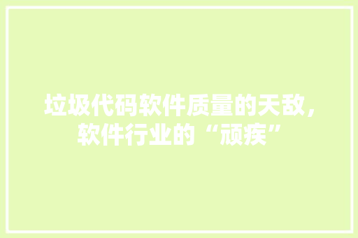 垃圾代码软件质量的天敌，软件行业的“顽疾”