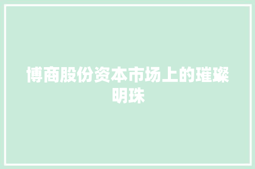 博商股份资本市场上的璀璨明珠