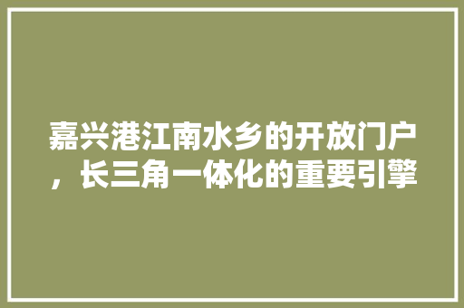 嘉兴港江南水乡的开放门户，长三角一体化的重要引擎